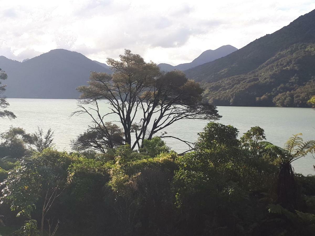 Marlborough Sounds Accommodation Havelock Exterior foto